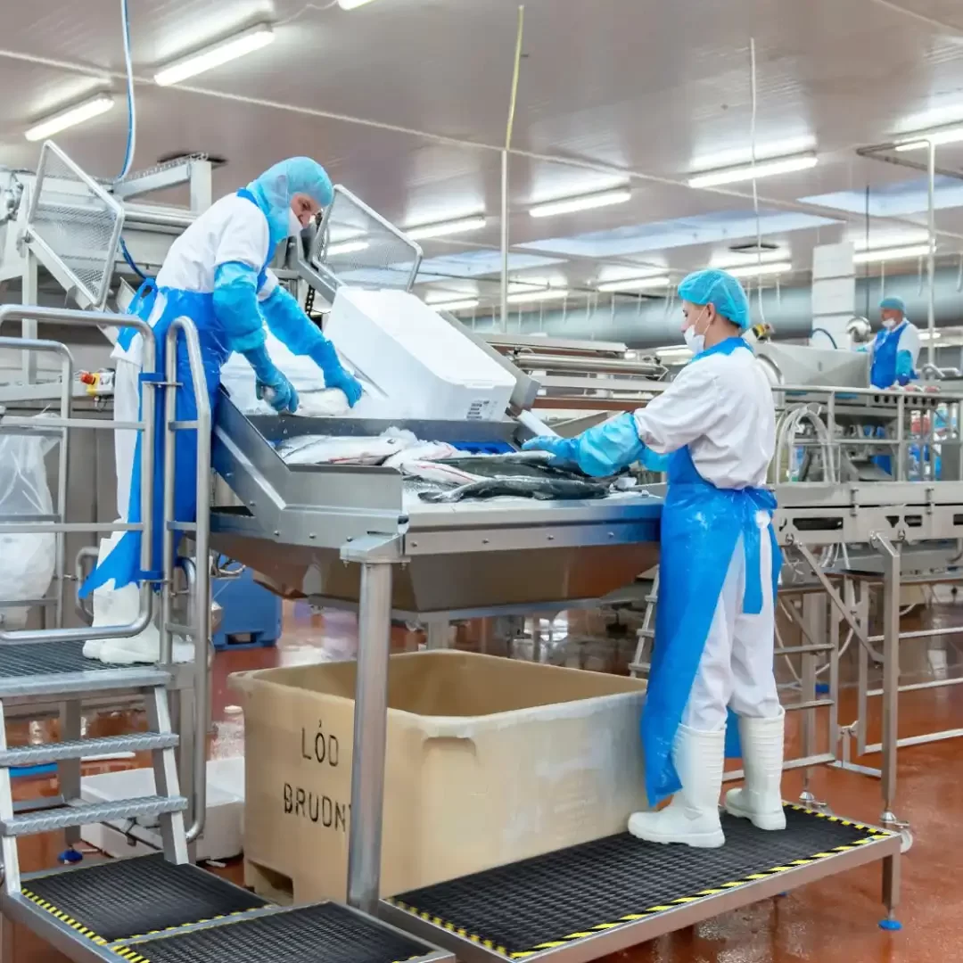 PLATAFORMA DE TRABAJO CALEFACCIONADA