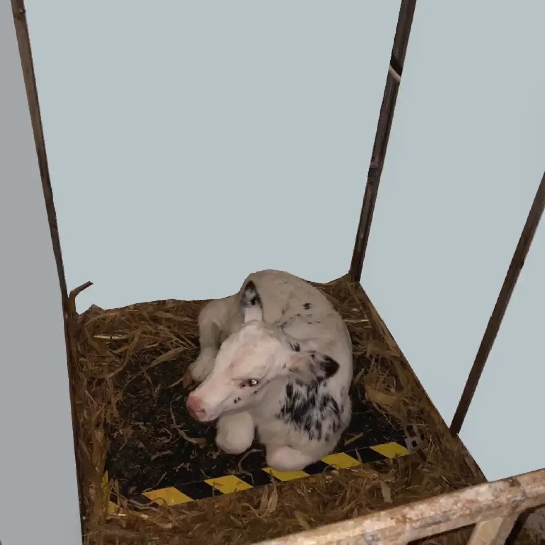 PLATAFORMA DE TRABAJO CALEFACCIONADA